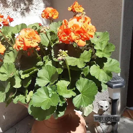 Seidelsferienparadiesgahlenz Lejlighed