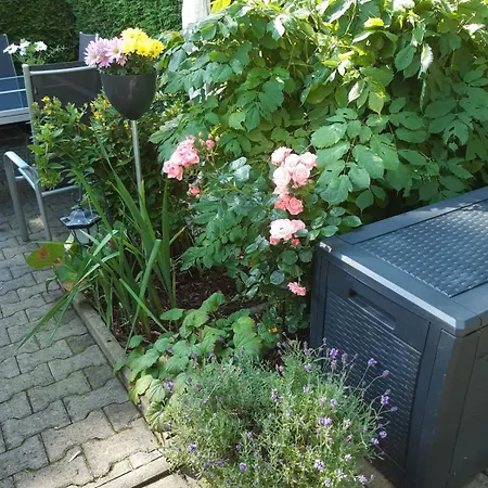 Seidelsferienparadiesgahlenz Lejlighed *