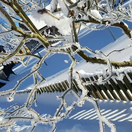 Seidelsferienparadiesgahlenz *