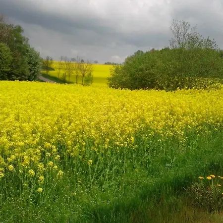 Seidelsferienparadiesgahlenz Gahlenz