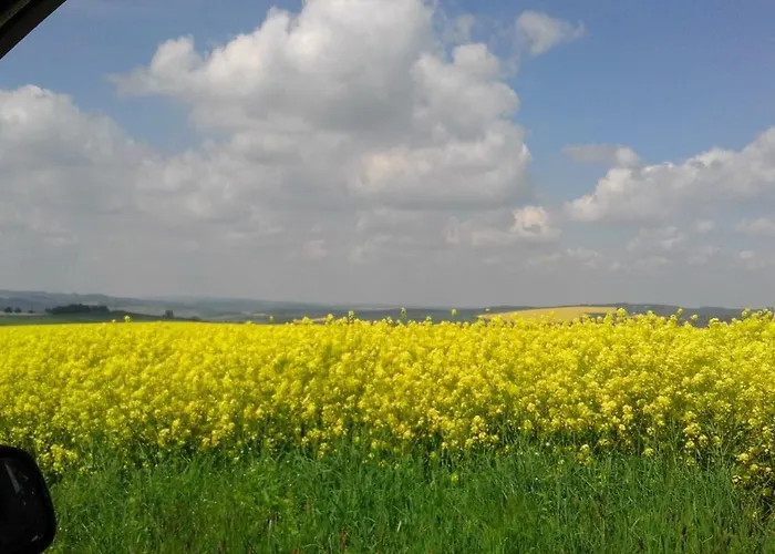 Seidelsferienparadiesgahlenz *