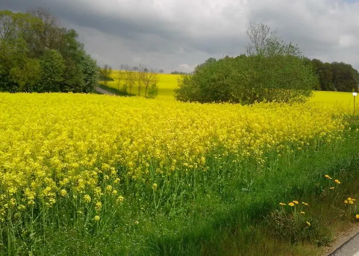 Seidelsferienparadiesgahlenz Gahlenz